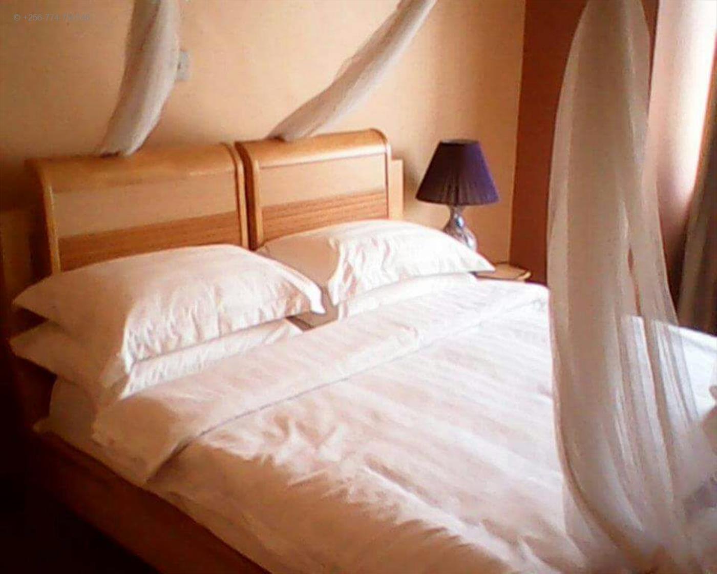 070320170833365199_070320170835268181