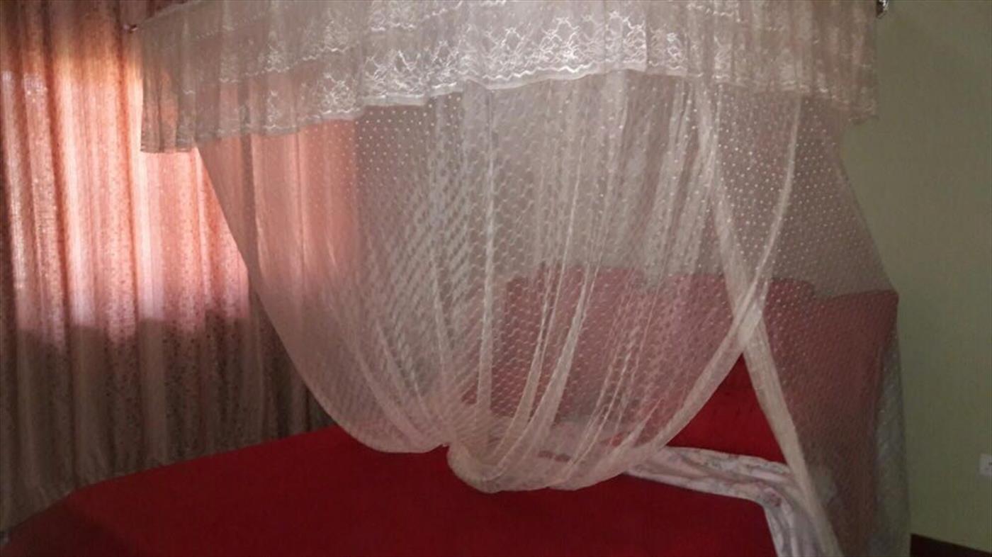 110220171153212419_110220171156240747