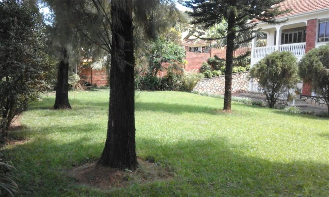 110220171231333351_110220171235187628