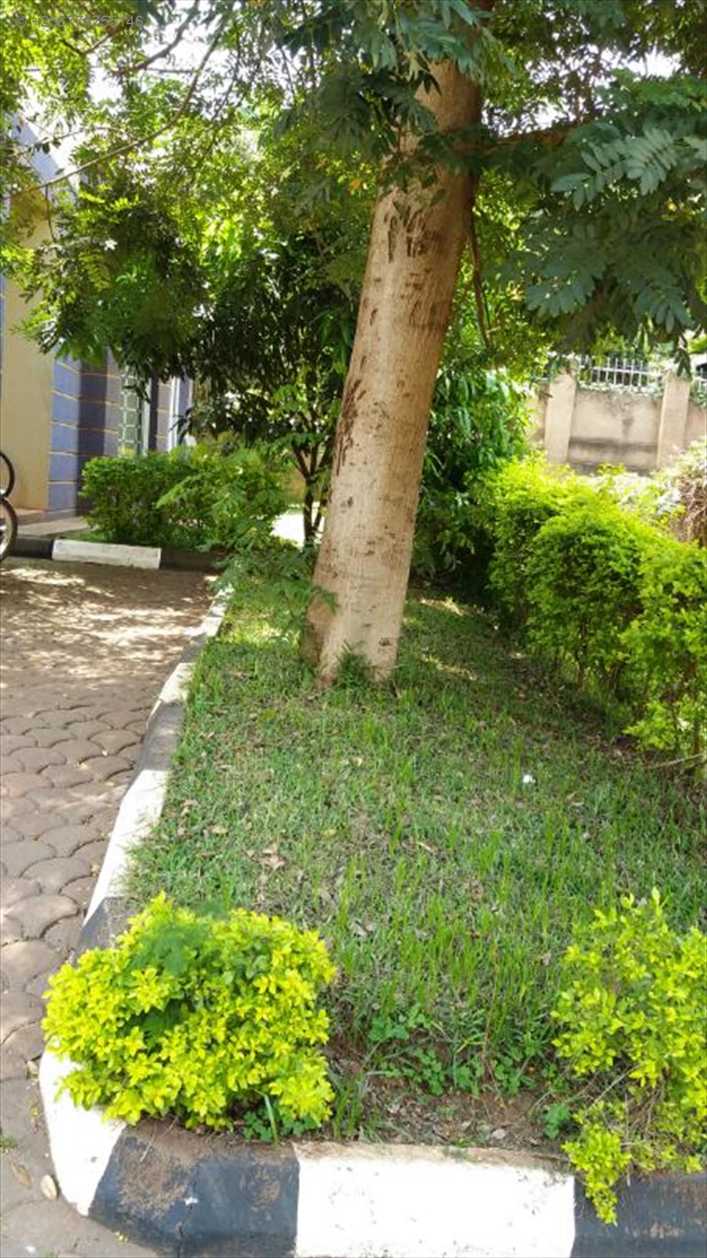 180420170809281326_180420170813486672