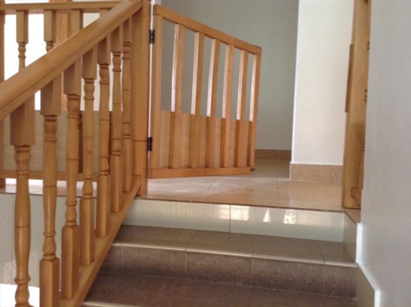 224_030920161041016982