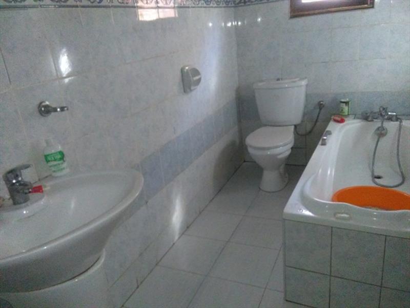 224_041020161058503384