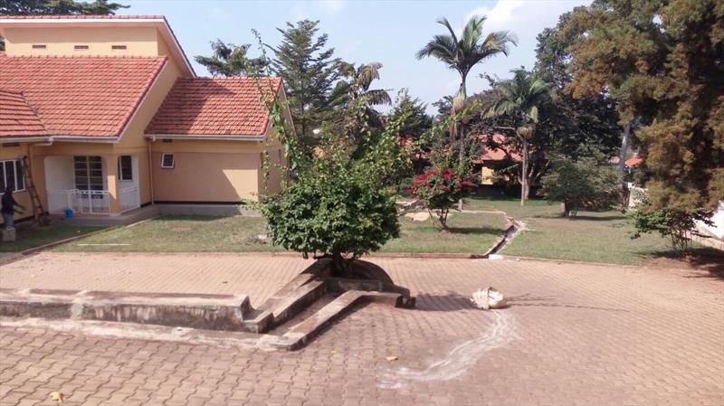 224_070920161052488582