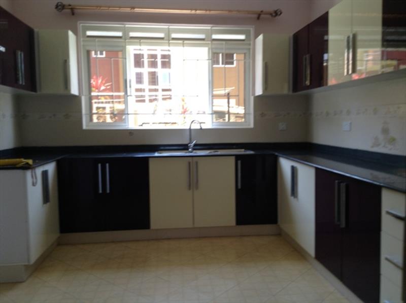 224_310820160324303362