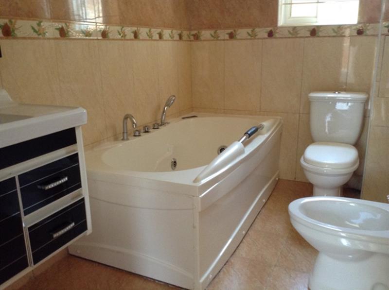 224_310820160324443055