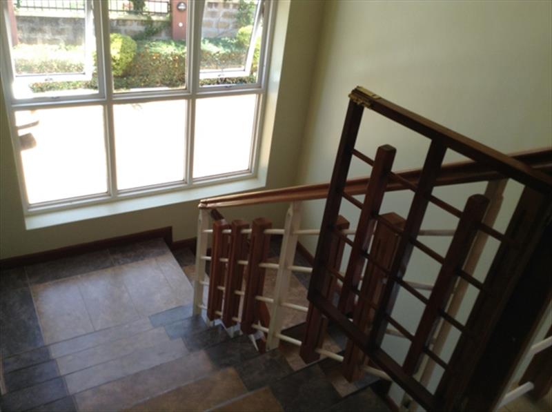 224_310820160324554153