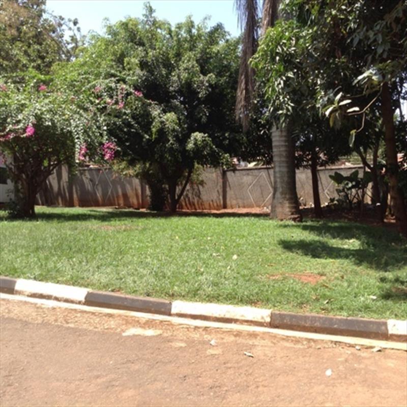 224_310820160334571259