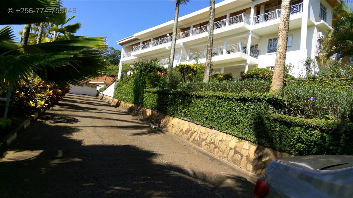 270320171118018704_270320171124183465