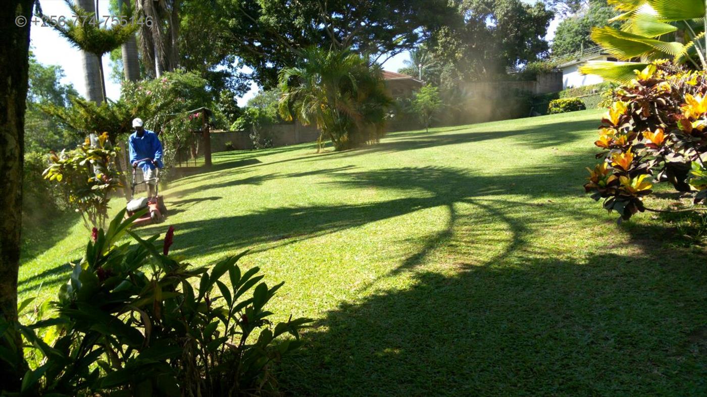 270320171118018704_270320171124221433