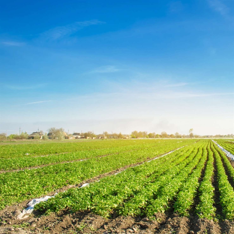Agricultural & Industrial